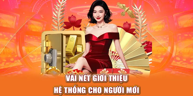 Vài nét giới thiệu hệ thống cho người mới